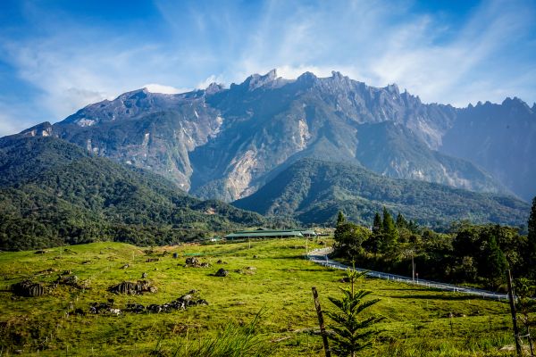 A beautiful view of Mount Kinabalu with a blue sky and lush grass.